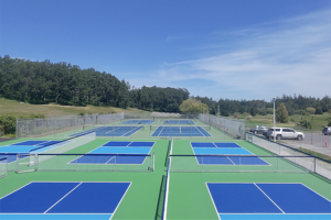 juan de fuca courts